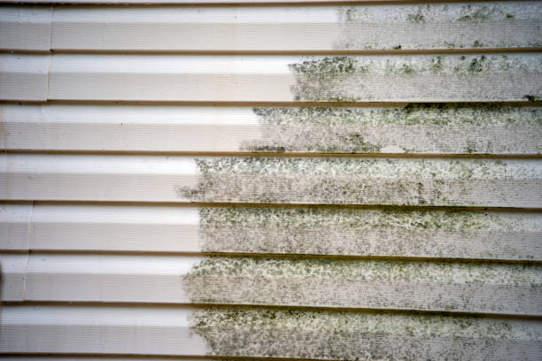 Best Steel Siding Installation  in Jacksonville, AL