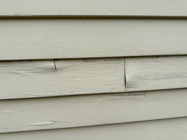 Best Fascia and Soffit Installation  in Jacksonville, AL